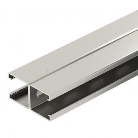 Montagerail MS4182, sleuf 22 mm, dubbel, A2, geperforeerd  6000 | 41 | 82 | 2 | blank, nabehandeld