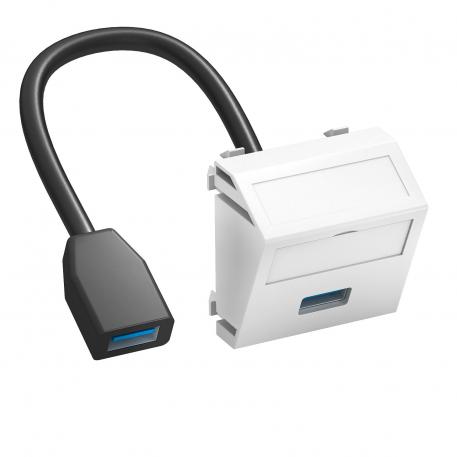 Prise USB 2.0 / 3.0, 1 module, sortie oblique, avec câble de raccordement blanc pur; RAL 9010